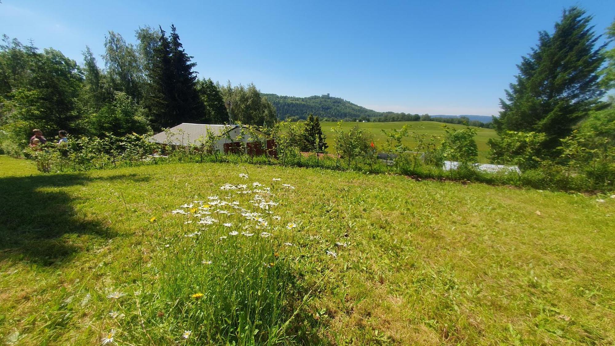 Villa Ferienhaus Schneekopf Suhl Exterior foto